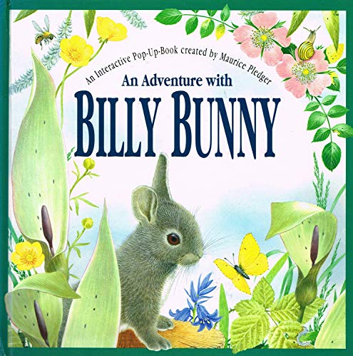 An Adventure With Billy Bunny: Peek-and-Find